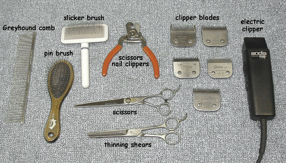 Tools for grooming a Miniature Schnauzer