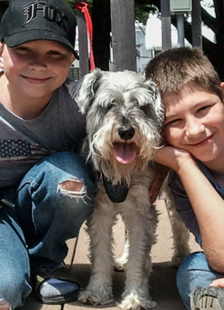 Photo of Rescue Dog Hans